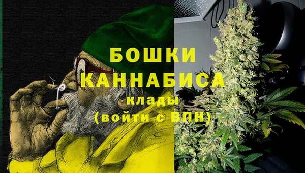 дурь Горняк