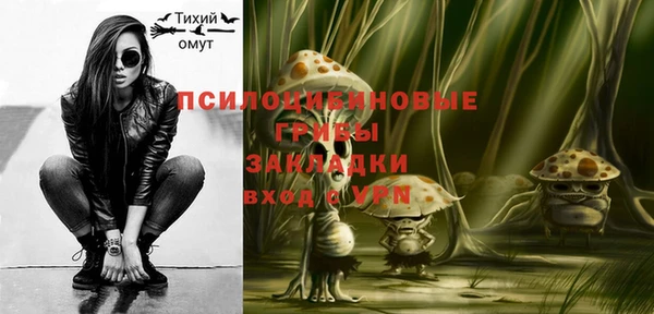 дурь Горняк
